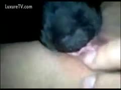 My wife's muff is licked by my dog.